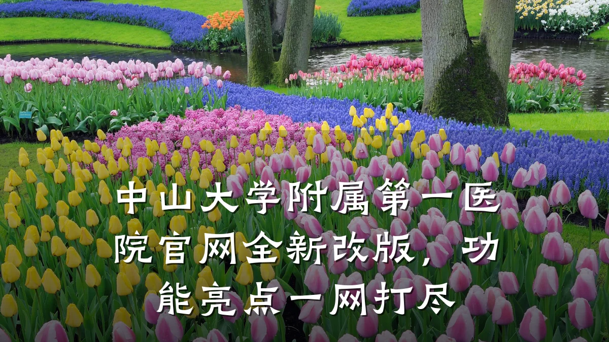 中山大学附属第一医院官网全新改版，功能亮点一网打尽