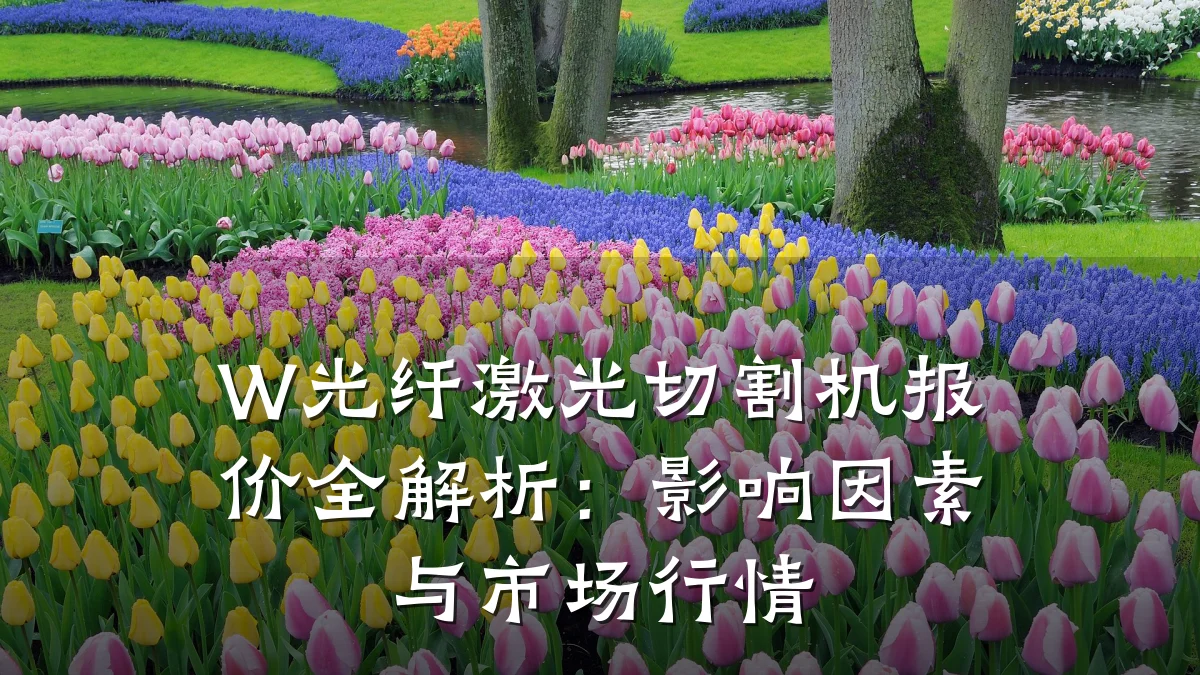 W光纤激光切割机报价全解析：影响因素与市场行情