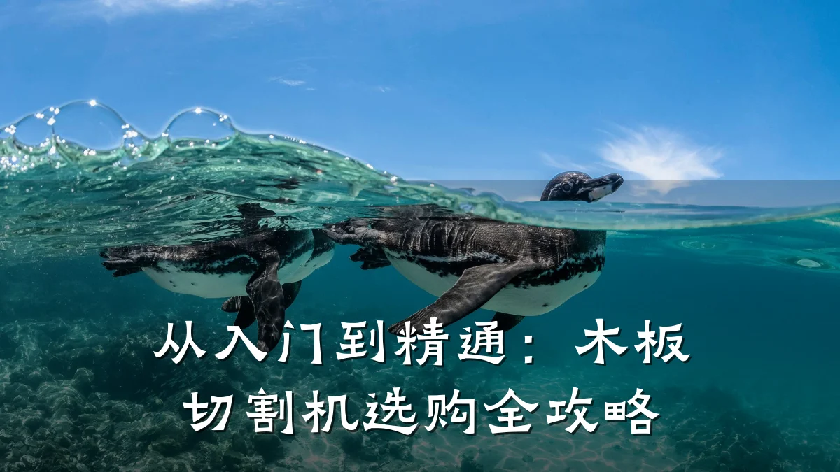 从入门到精通：木板切割机选购全攻略