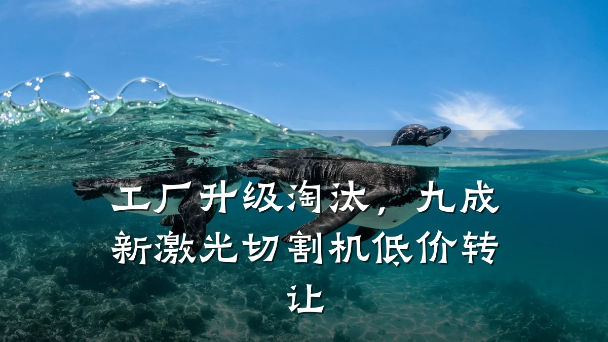 工厂升级淘汰，九成新激光切割机低价转让
