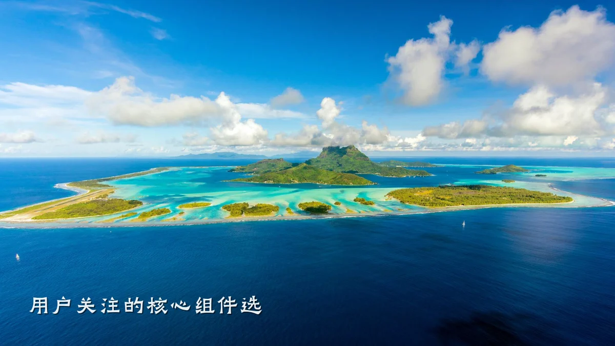 用户关注的核心组件选