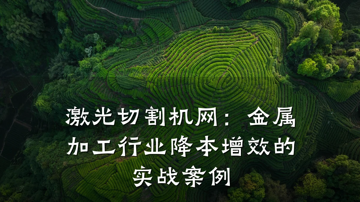 激光切割机网：金属加工行业降本增效的实战案例