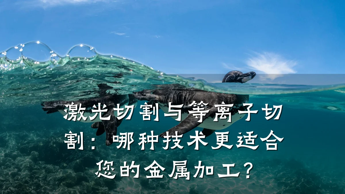 激光切割与等离子切割：哪种技术更适合您的金属加工？