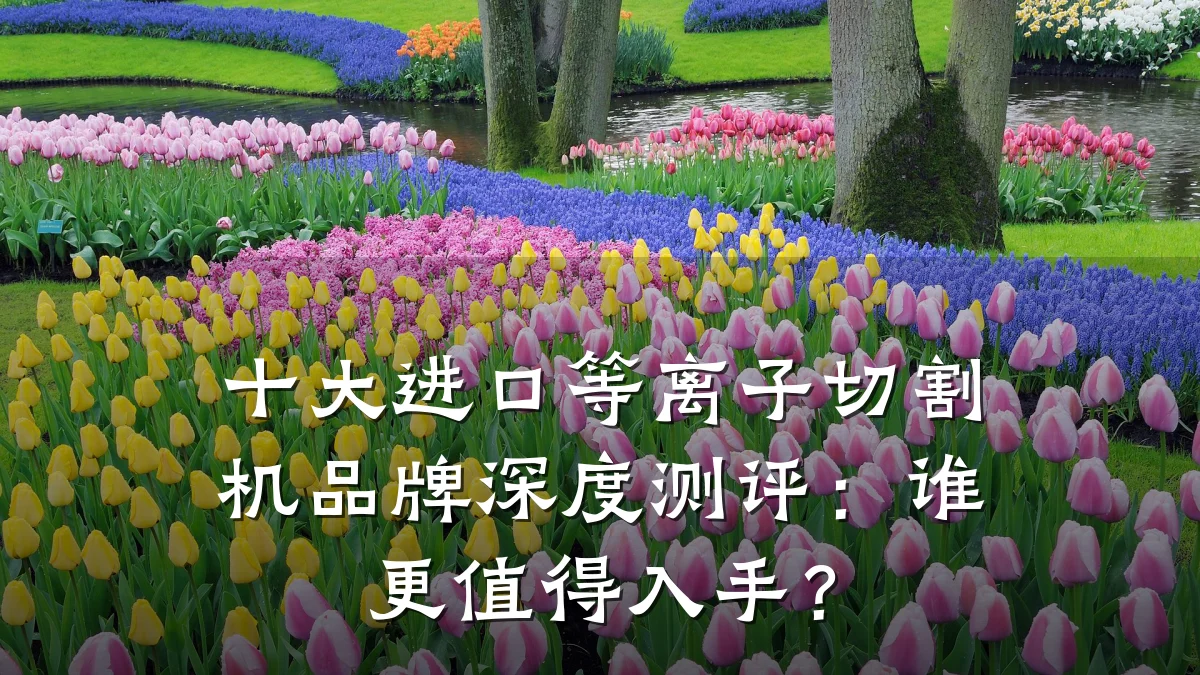 十大进口等离子切割机品牌深度测评：谁更值得入手？