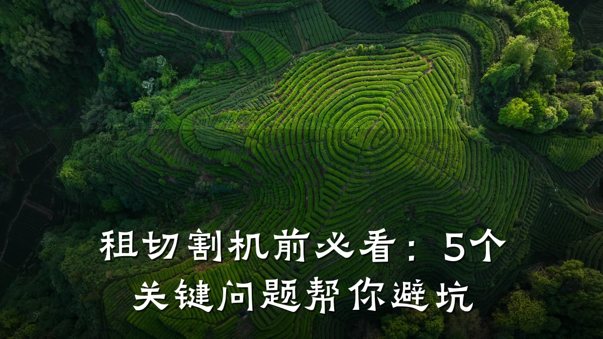租切割机前必看：5个关键问题帮你避坑