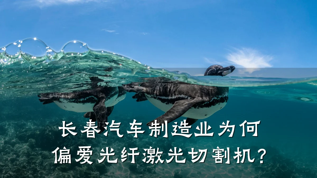长春汽车制造业为何偏爱光纤激光切割机?