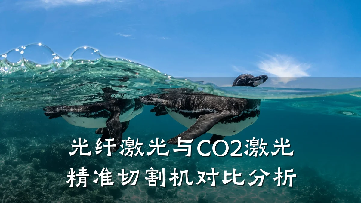 光纤激光与CO2激光精准切割机对比分析
