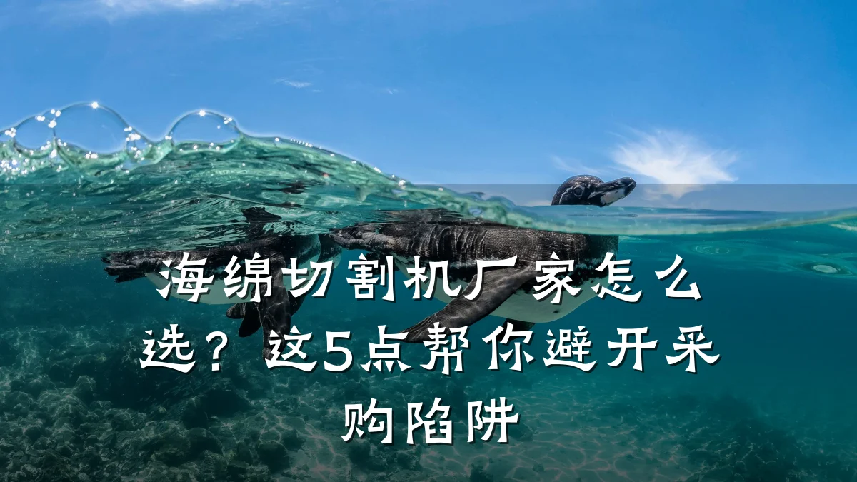 海绵切割机厂家怎么选？这5点帮你避开采购陷阱