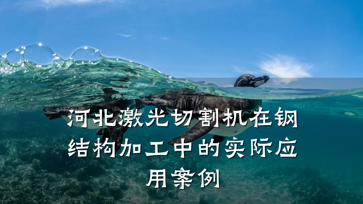 河北激光切割机在钢结构加工中的实际应用案例