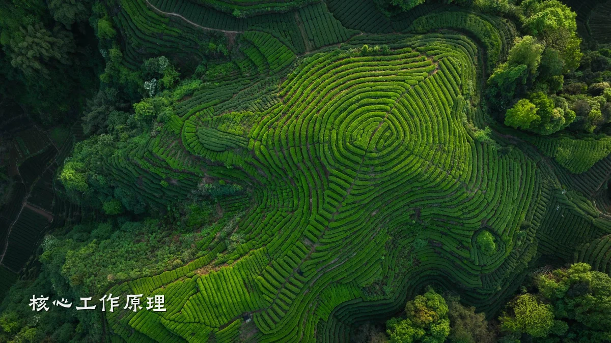 核心工作原理