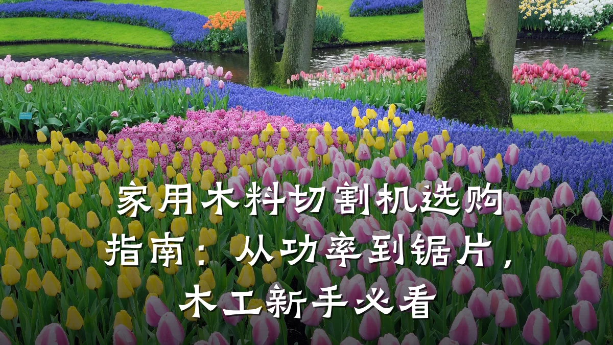 家用木料切割机选购指南：从功率到锯片，木工新手必看