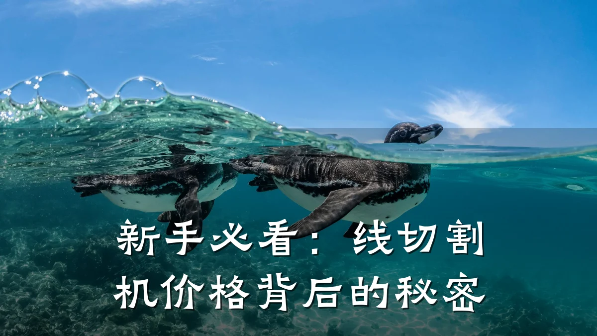 新手必看：线切割机价格背后的秘密
