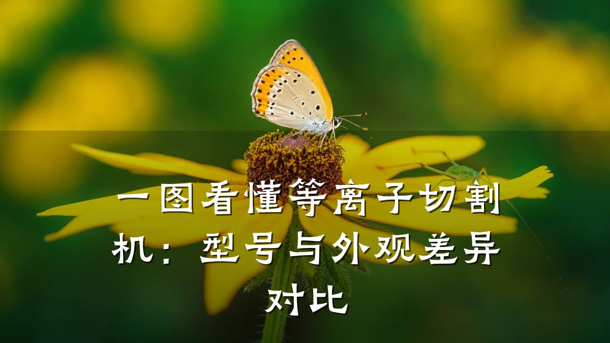 一图看懂等离子切割机：型号与外观差异对比