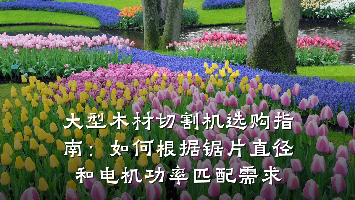 大型木材切割机选购指南：如何根据锯片直径和电机功率匹配需求