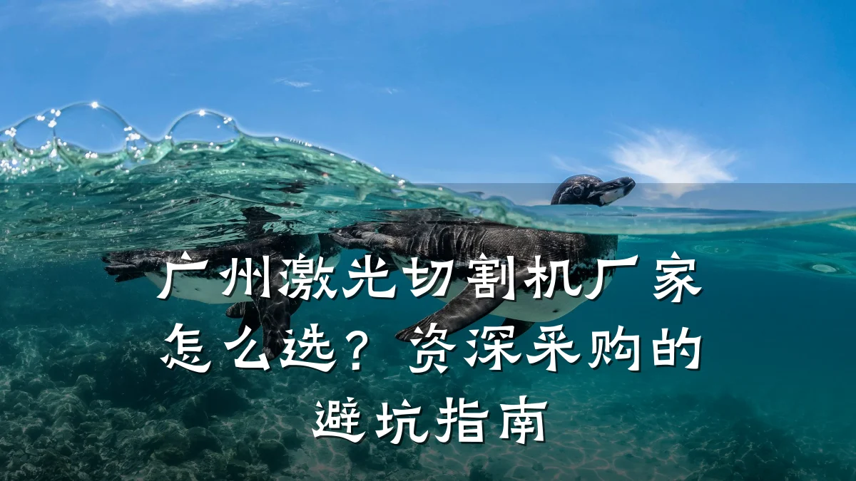 广州激光切割机厂家怎么选？资深采购的避坑指南