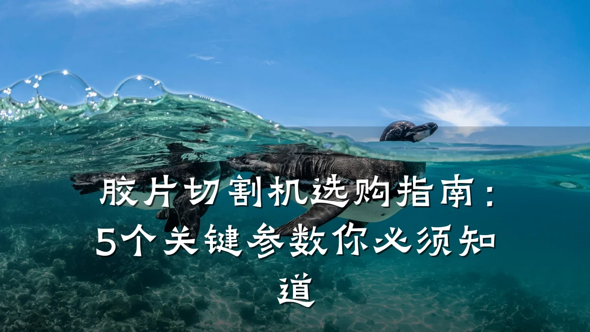 胶片切割机选购指南:5个关键参数你必须知道