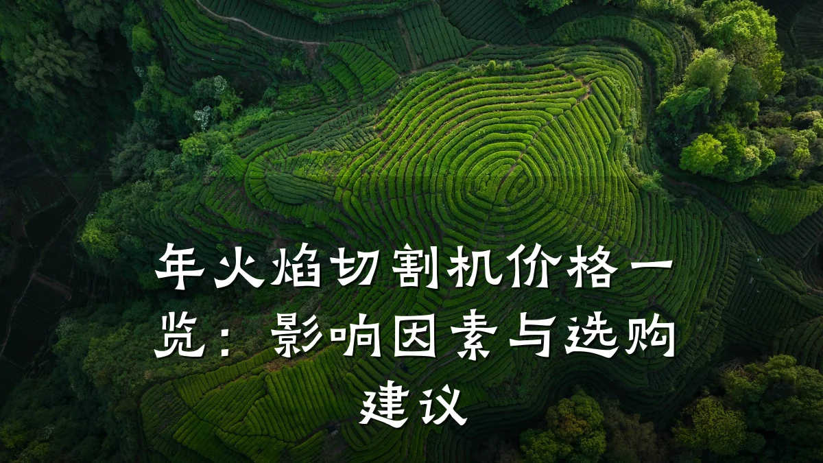年火焰切割机价格一览：影响因素与选购建议