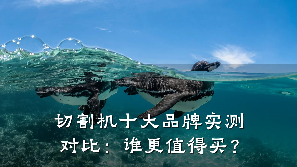 切割机十大品牌实测对比:谁更值得买?