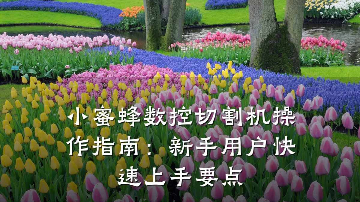 小蜜蜂数控切割机操作指南：新手用户快速上手要点