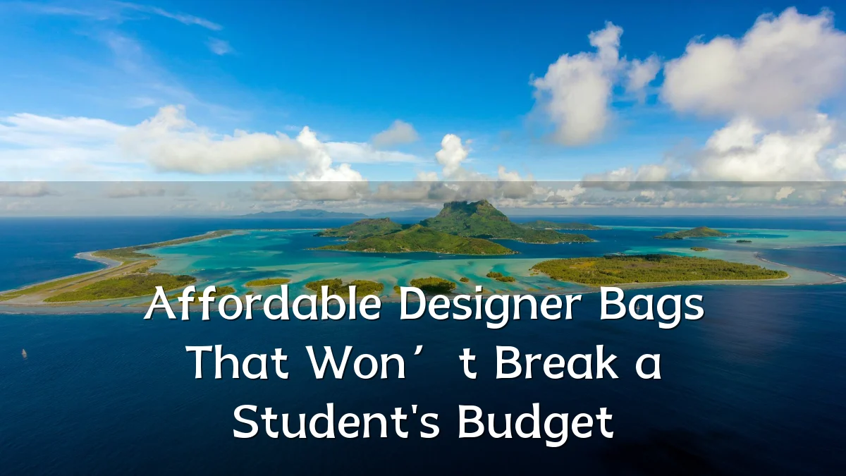 Affordable Designer Bags That Won’t Break a Student's Budget