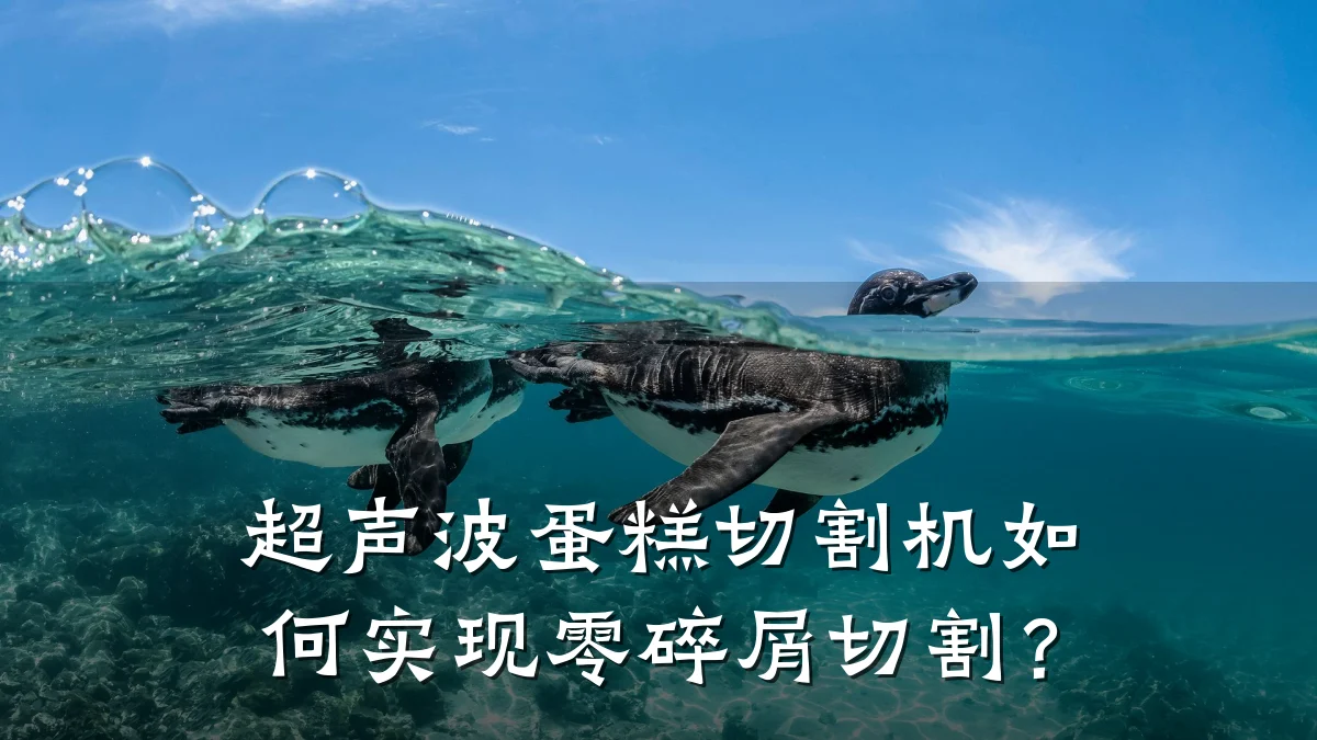 超声波蛋糕切割机如何实现零碎屑切割?
