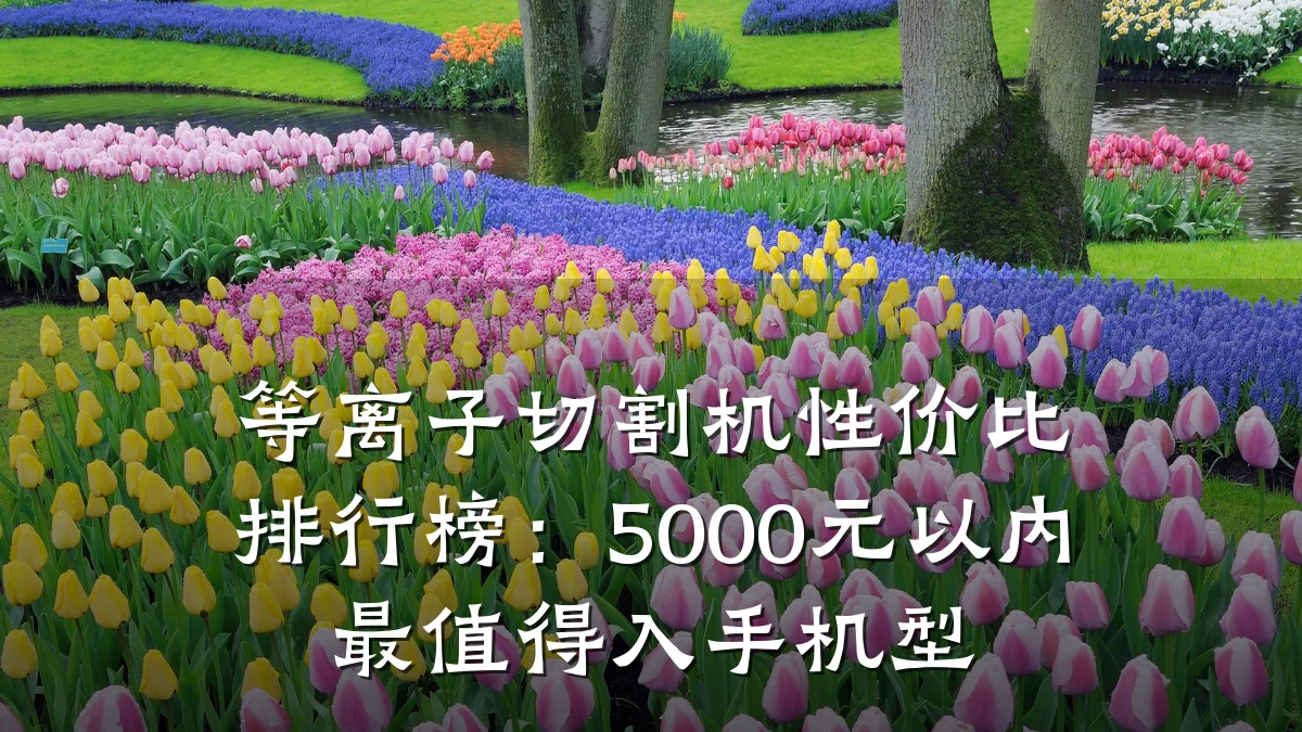 等离子切割机性价比排行榜:5000元以内最值得入手机型