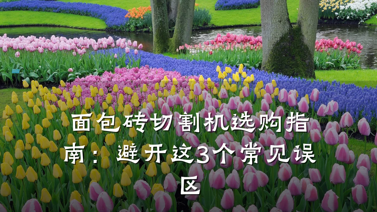 面包砖切割机选购指南：避开这3个常见误区