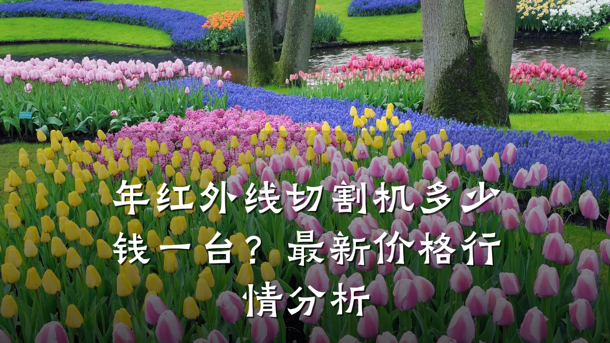 年红外线切割机多少钱一台？最新价格行情分析