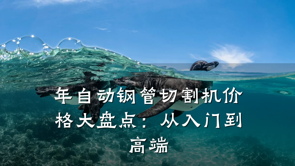 年自动钢管切割机价格大盘点：从入门到高端