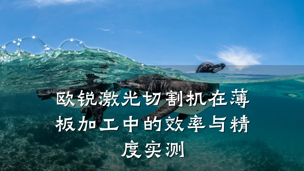 欧锐激光切割机在薄板加工中的效率与精度实测
