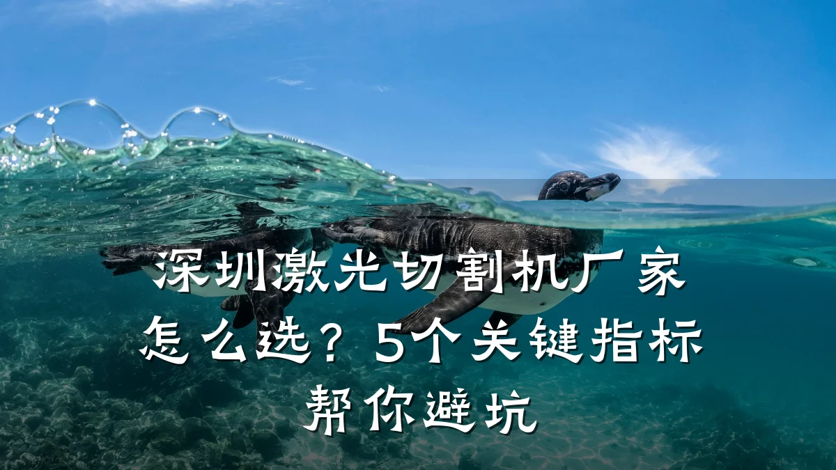 深圳激光切割机厂家怎么选?5个关键指标帮你避坑