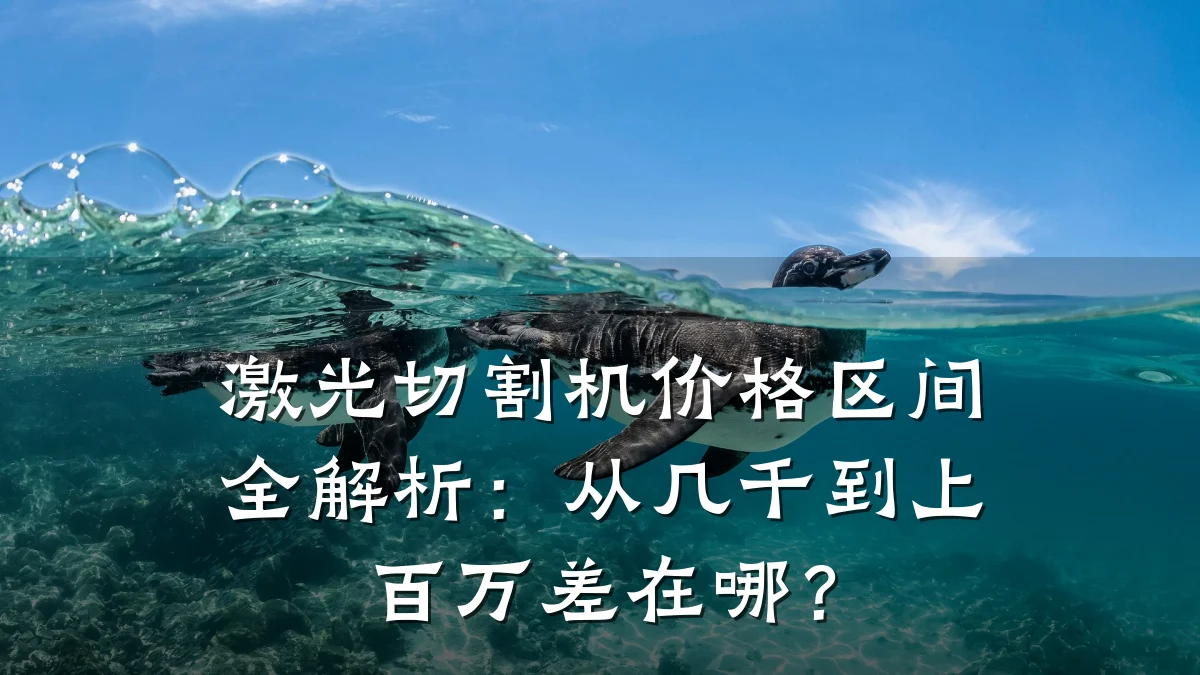 激光切割机价格区间全解析：从几千到上百万差在哪？