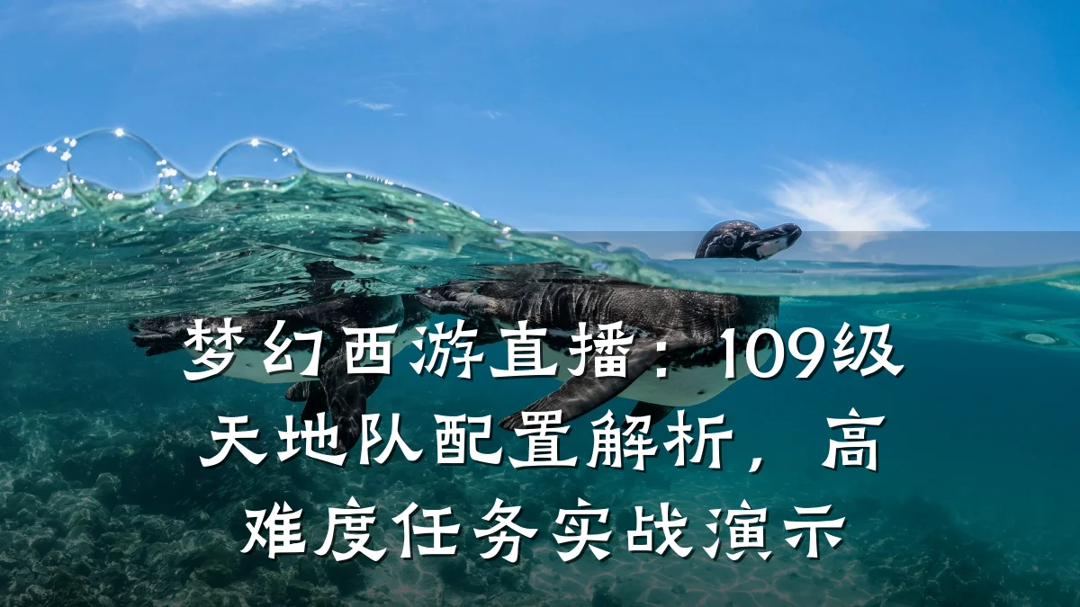梦幻西游直播：109级天地队配置解析，高难度任务实战演示