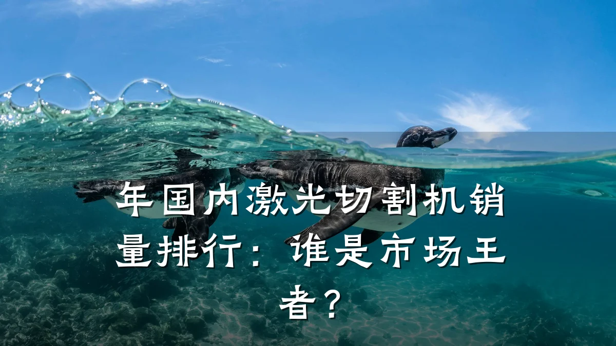 年国内激光切割机销量排行：谁是市场王者？