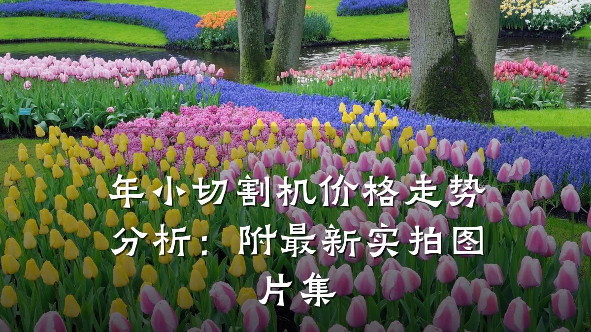 年小切割机价格走势分析：附最新实拍图片集
