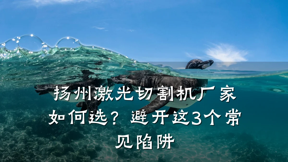 扬州激光切割机厂家如何选？避开这3个常见陷阱