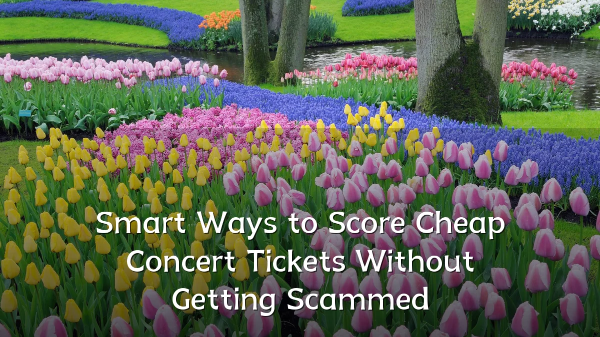 Smart Ways to Score Cheap Concert Tickets Without Getting Scammed