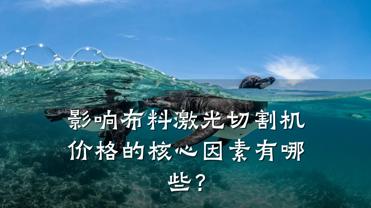 影响布料激光切割机价格的核心因素有哪些？