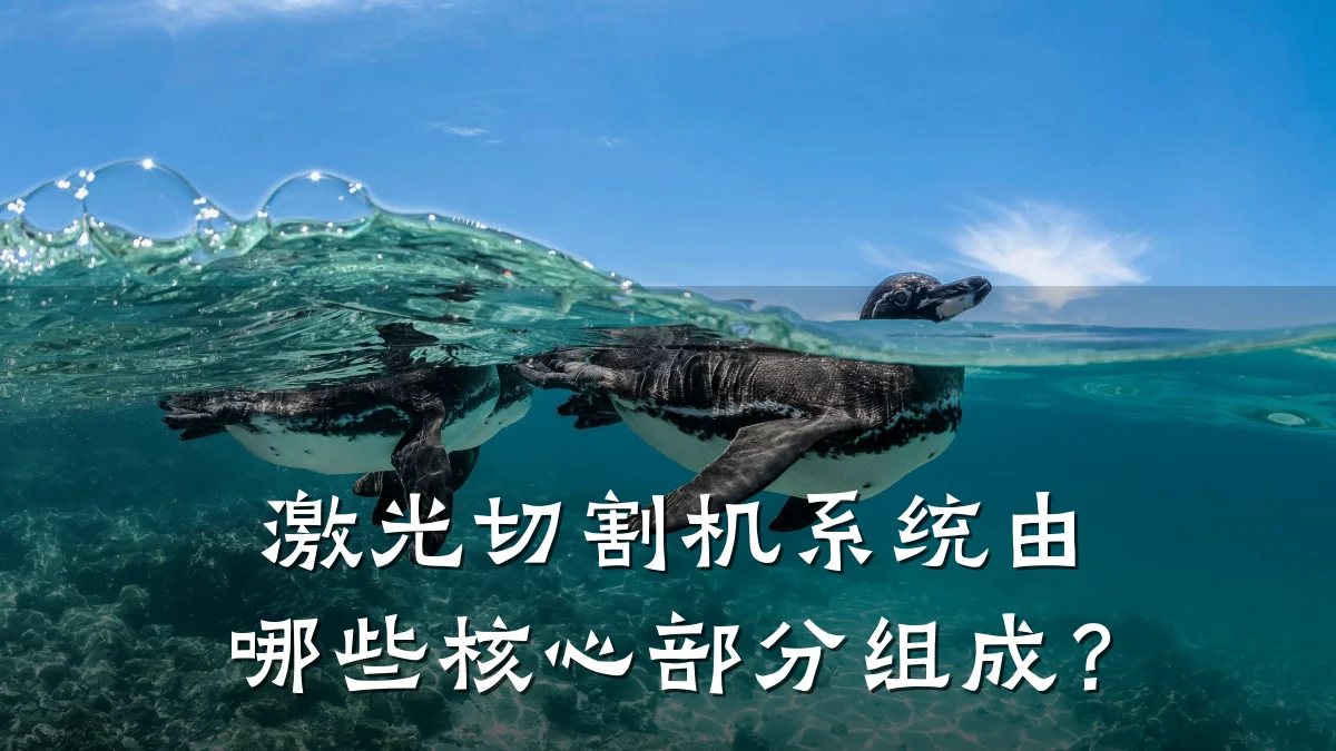 激光切割机系统由哪些核心部分组成？