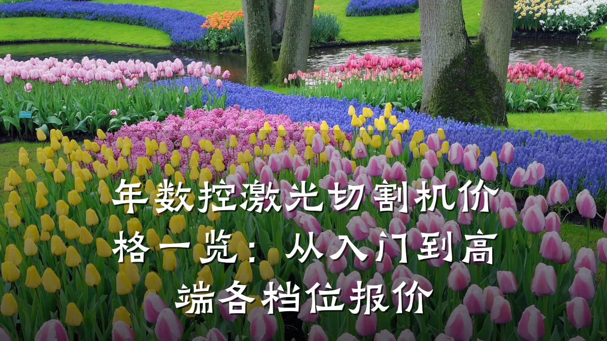 年数控激光切割机价格一览：从入门到高端各档位报价