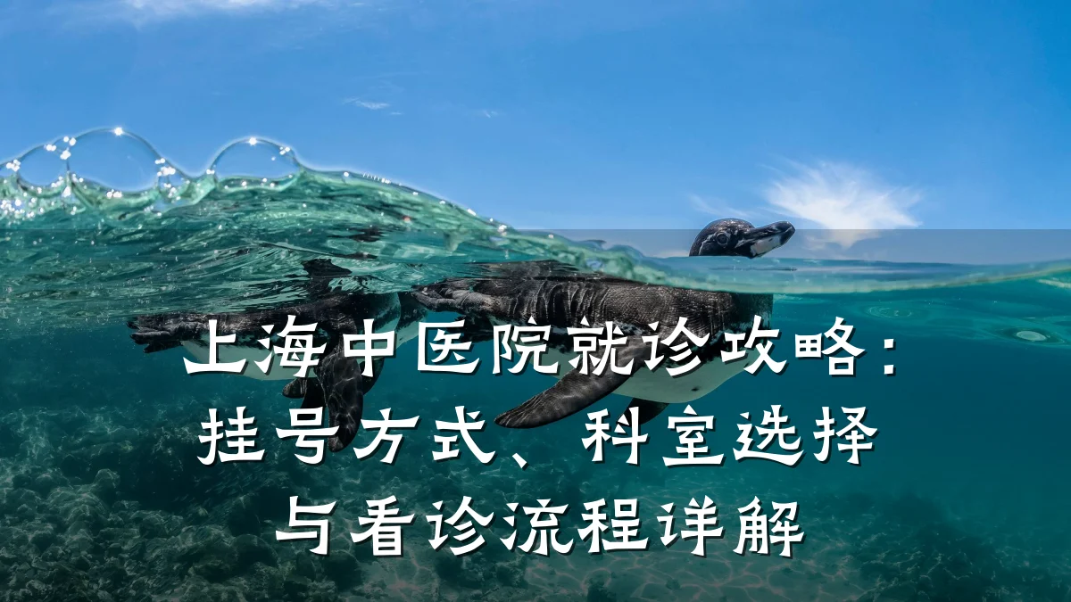 上海中医院就诊攻略：挂号方式、科室选择与看诊流程详解