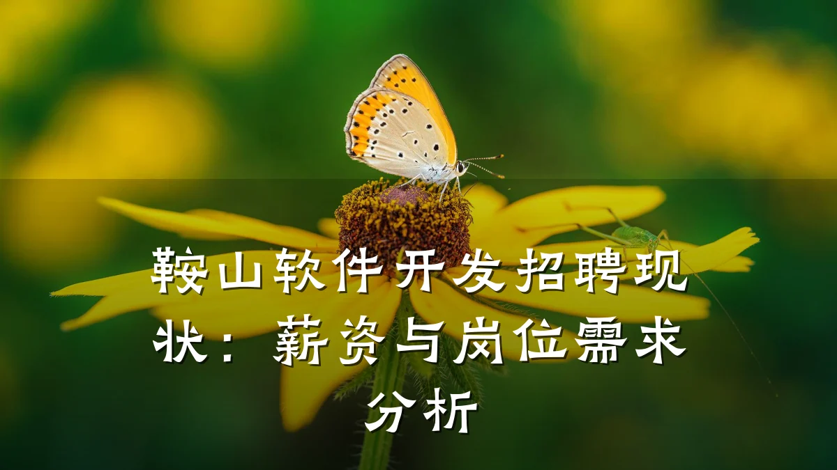 鞍山软件开发招聘现状:薪资与岗位需求分析
