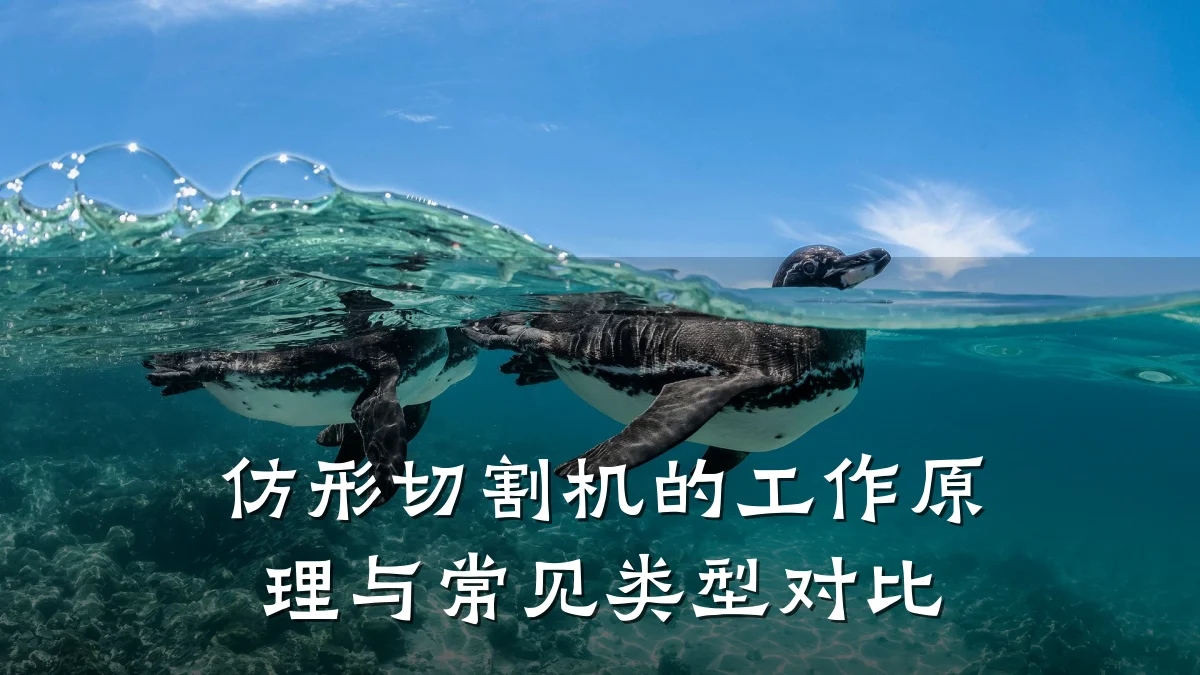 仿形切割机的工作原理与常见类型对比