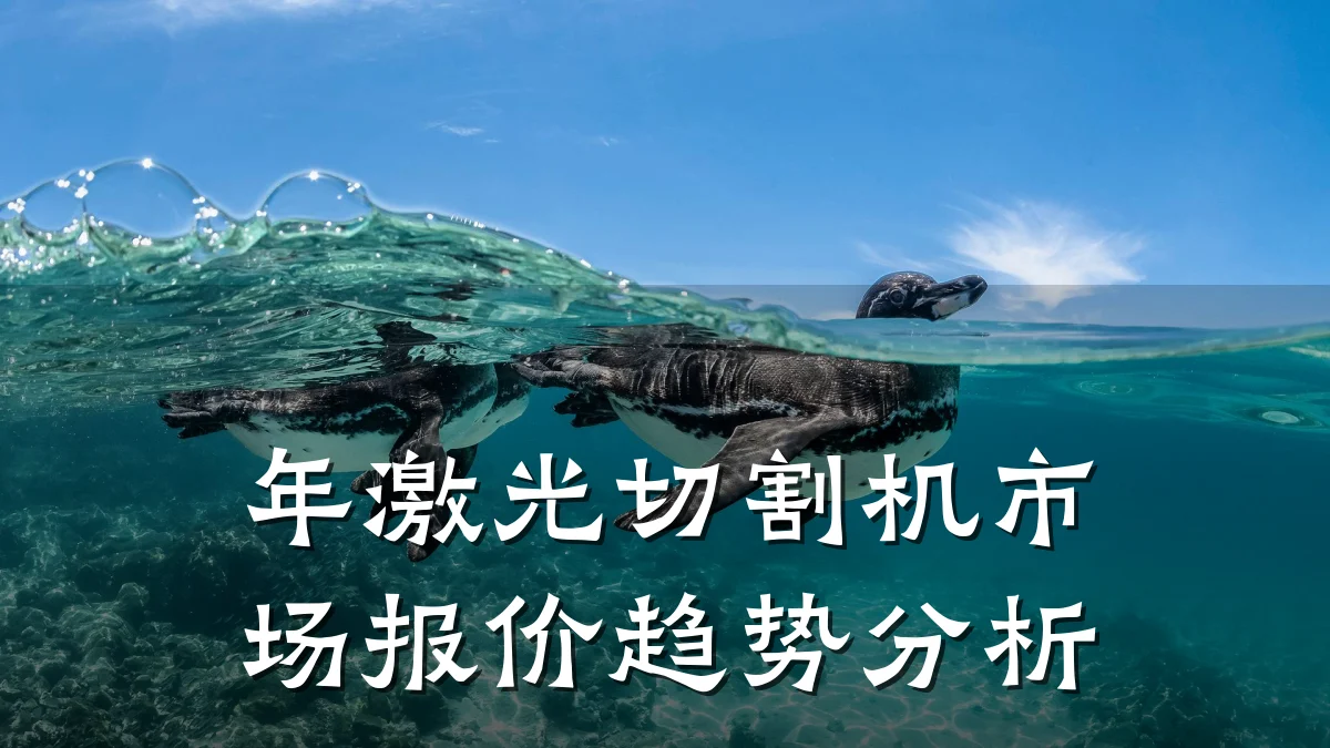 年激光切割机市场报价趋势分析