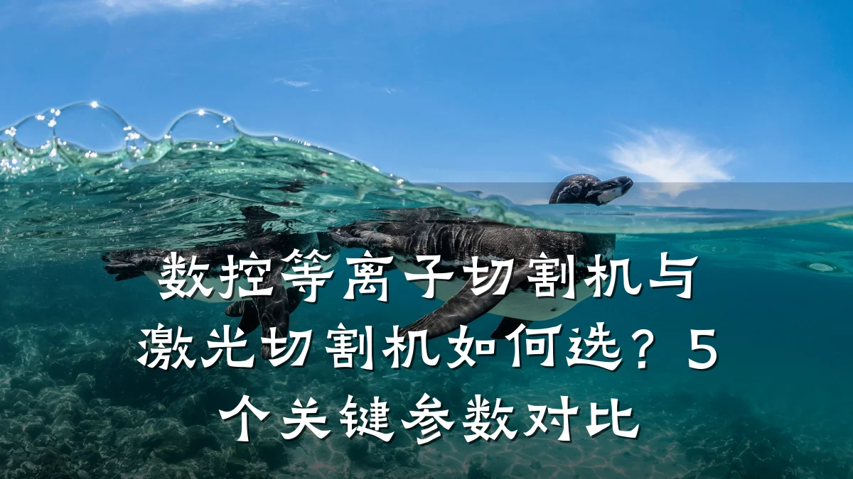 数控等离子切割机与激光切割机如何选？5个关键参数对比