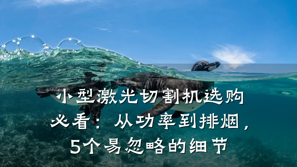 小型激光切割机选购必看:从功率到排烟,5个易忽略的细节