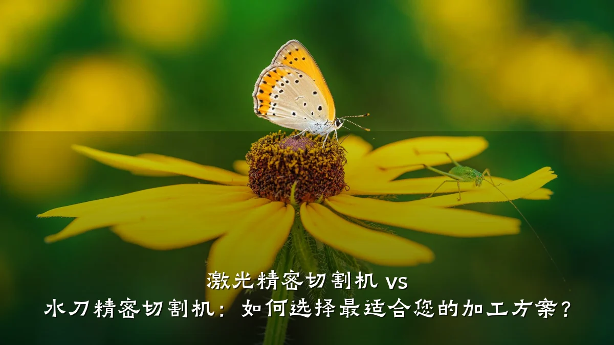 激光精密切割机 vs 水刀精密切割机:如何选择最适合您的加工方案?