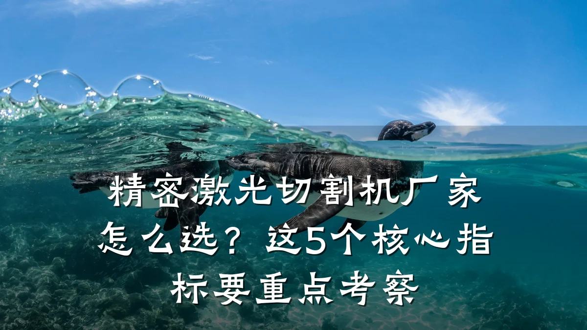 精密激光切割机厂家怎么选？这5个核心指标要重点考察