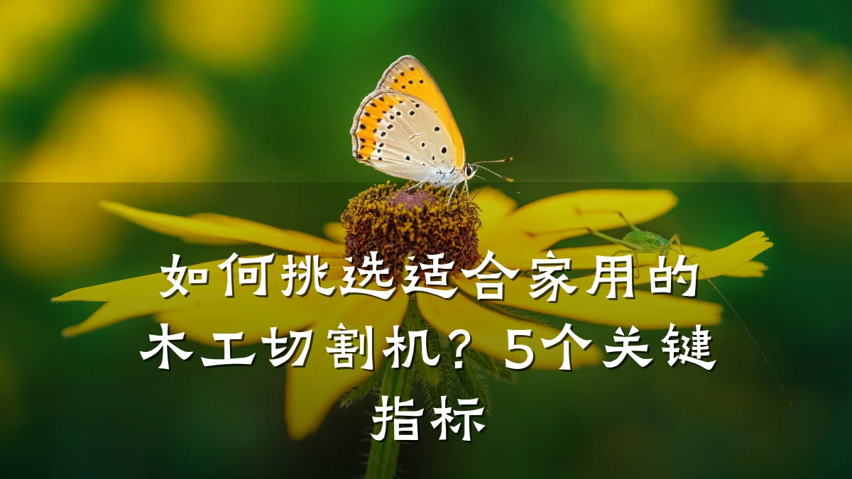 如何挑选适合家用的木工切割机?5个关键指标