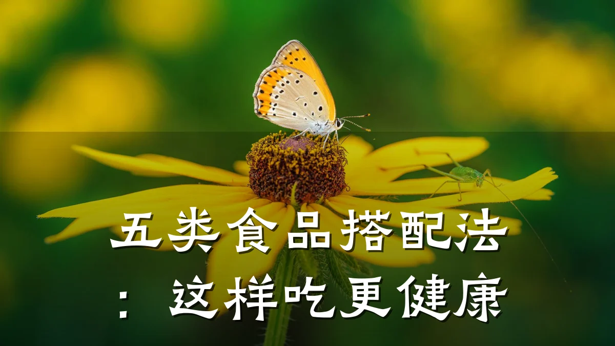 五类食品搭配法:这样吃更健康